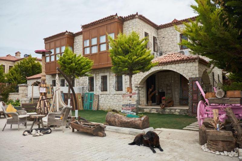 Sila אלאקאטי מראה חיצוני תמונה